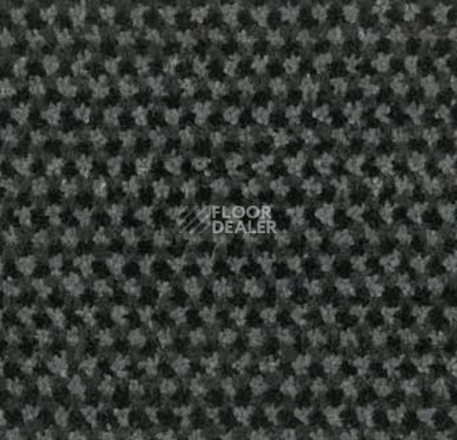 Грязезащитные покрытия Forbo Coral T32 320036200 Steel фото 1 | FLOORDEALER